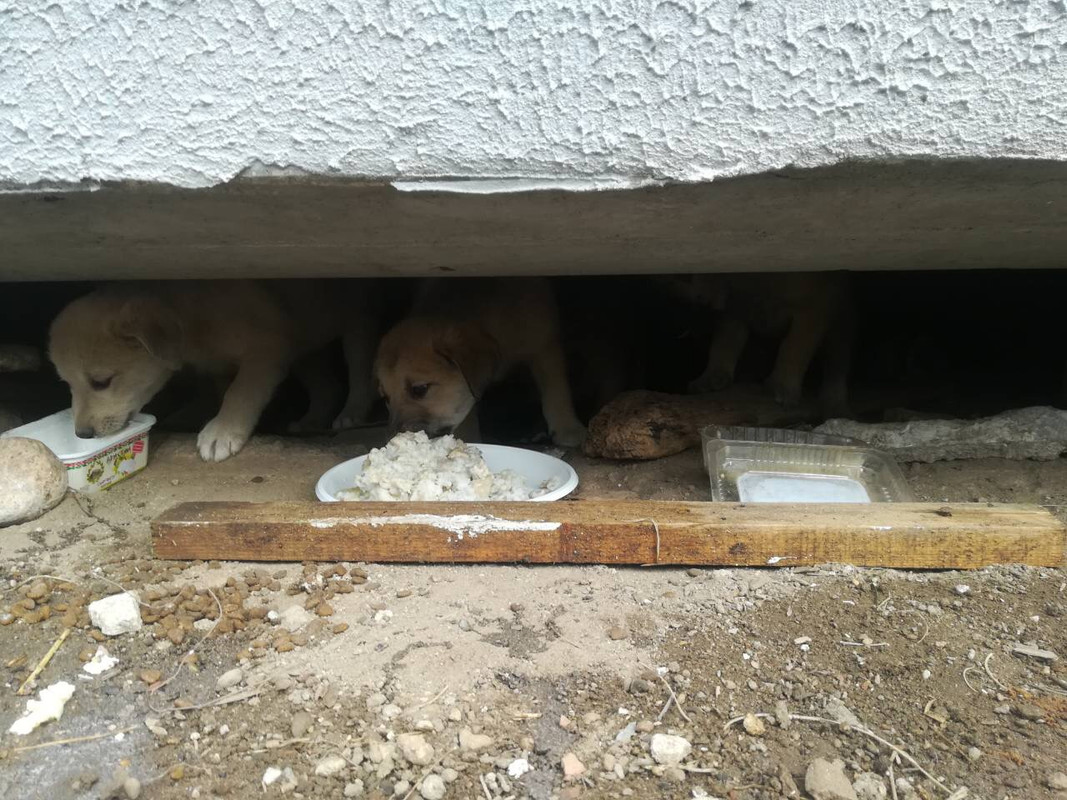 IMG_0357-27-10-18-02-44