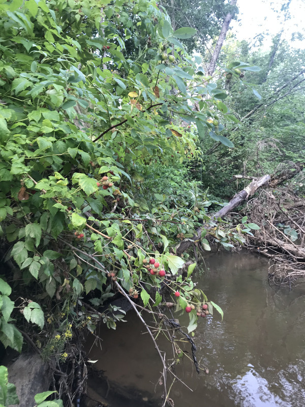 1699D35E-65CC-4FAE-B558-850CCCE51847