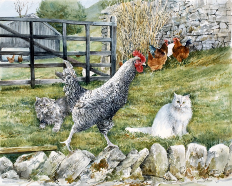 CHICKEN-ON-A-WALL-1-C27310-1
