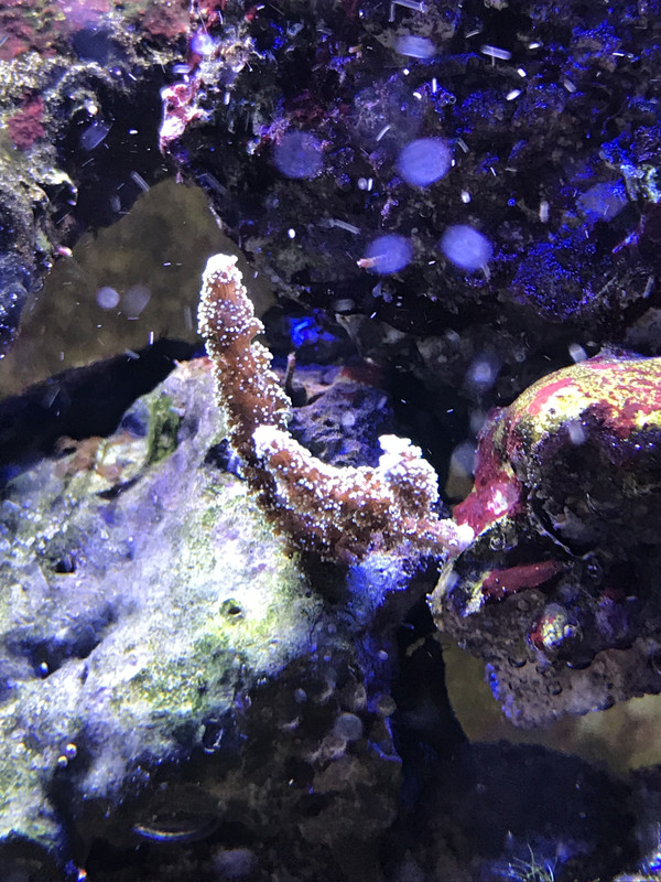 E8CC401A-3123-454B-8639-C2D74D07D06F