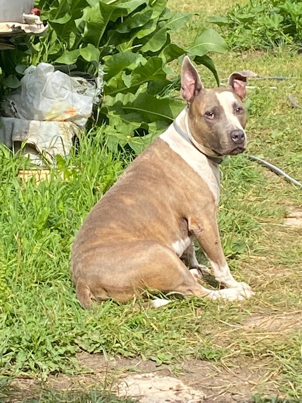 CCDACFE3-49C8-4B36-A0AD-9AFC1638AF06