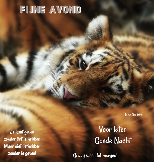 A40774DC-B2FC-4FF4-8377-6BC738C3A996