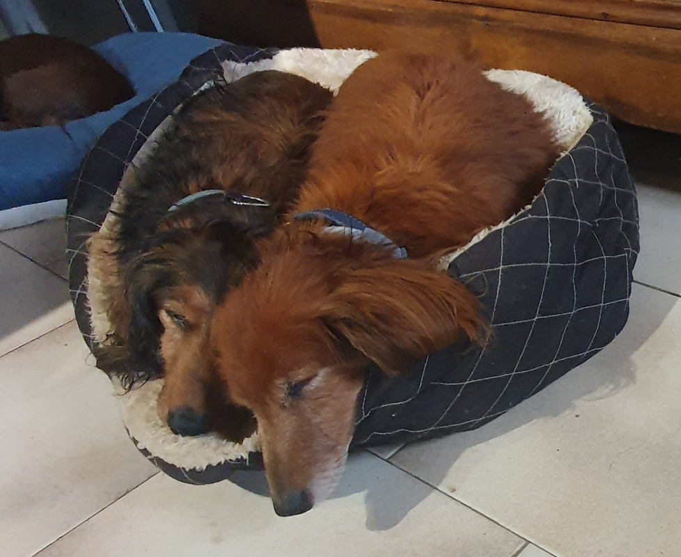 [Image: 20201010-154822.jpg]