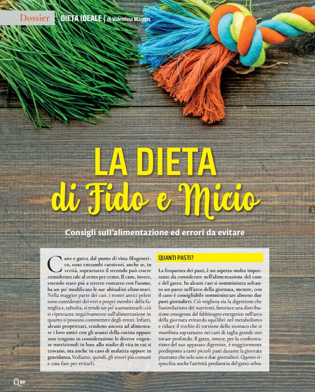 QuattroZampe Gen 2022 (9)