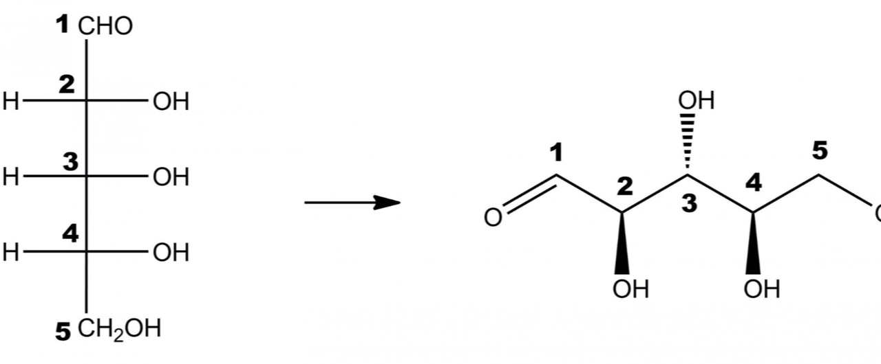 Capture d’écran 2023-11-04 à 20.04.53