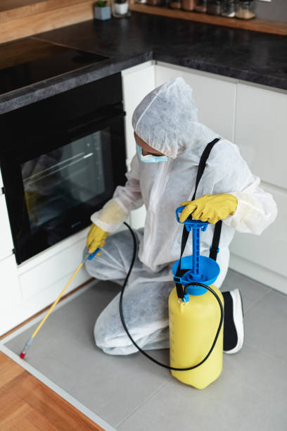 Kissimmee Termite Treatment