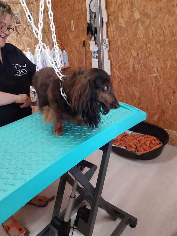 [Image: 20210618-102904.jpg]