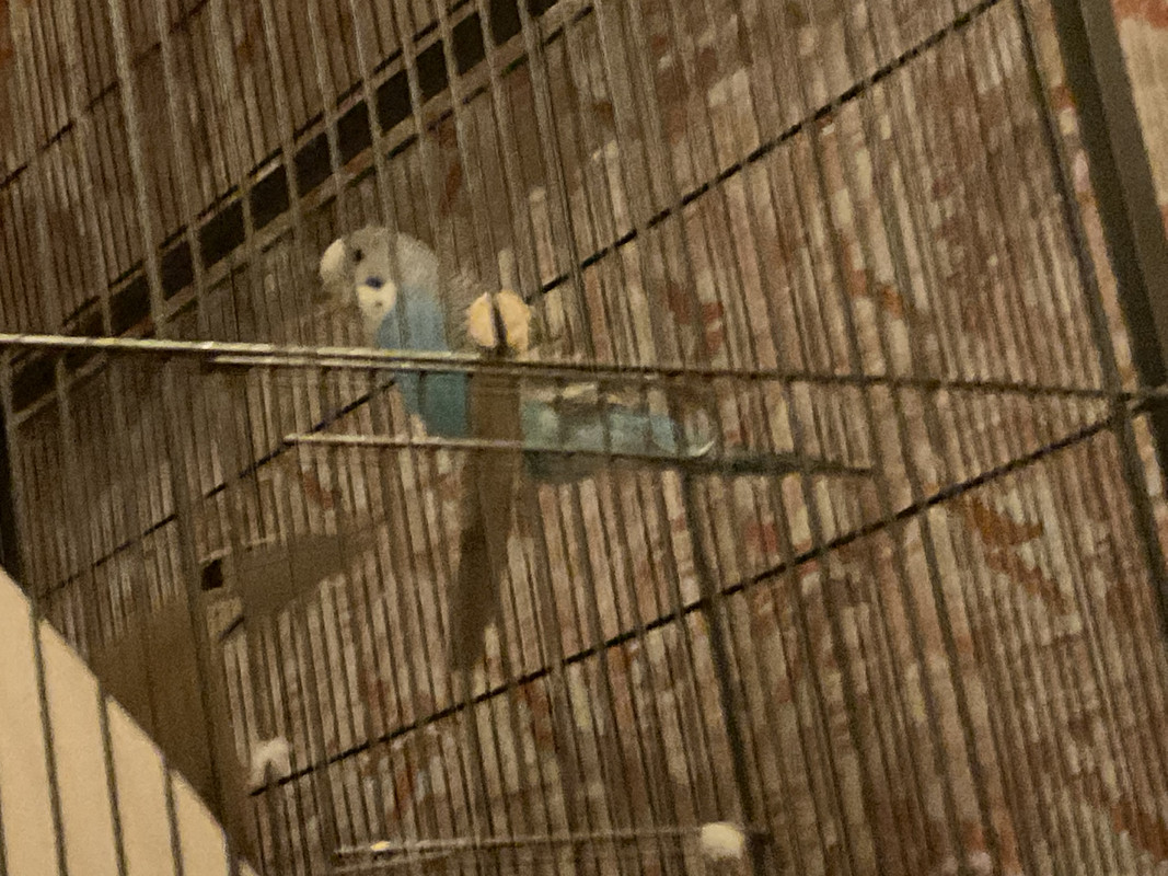 720AEBEC-46F4-42A5-B355-AC190D9A55C8