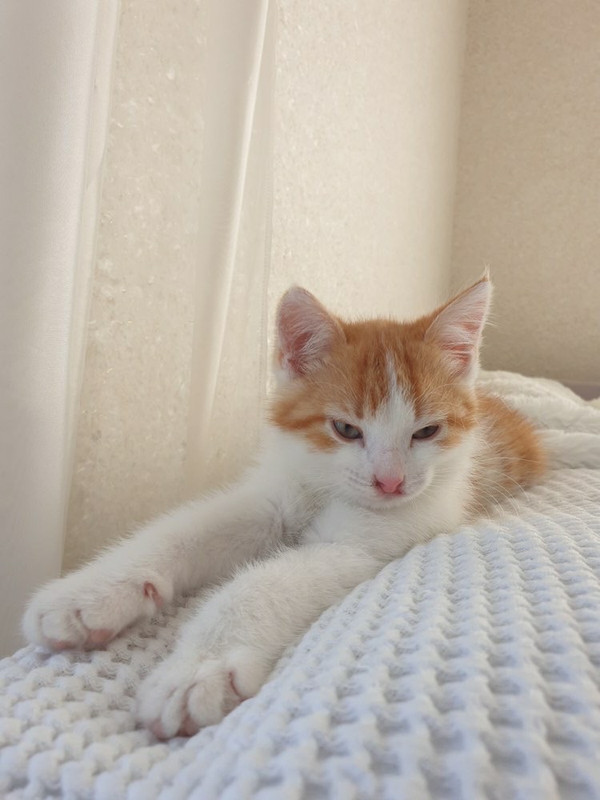 B93D18BC-9AD9-40DF-A87B-A2F0402288E1