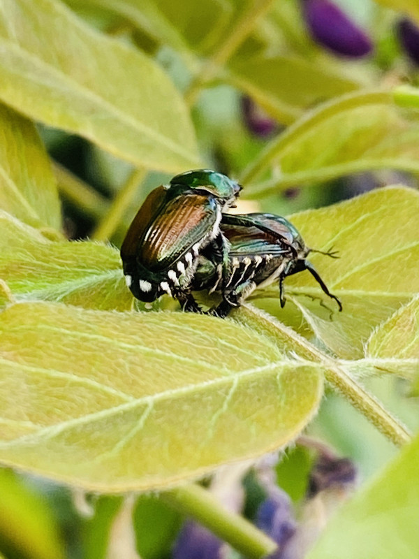 DE897A89-1DA7-4B13-AA5C-0AB91D1E6132