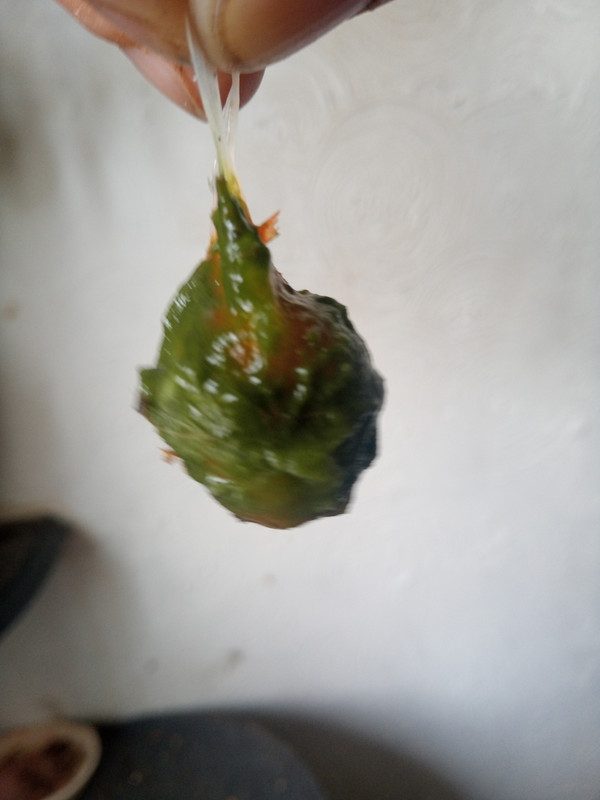 IMG_20240716_143801_806