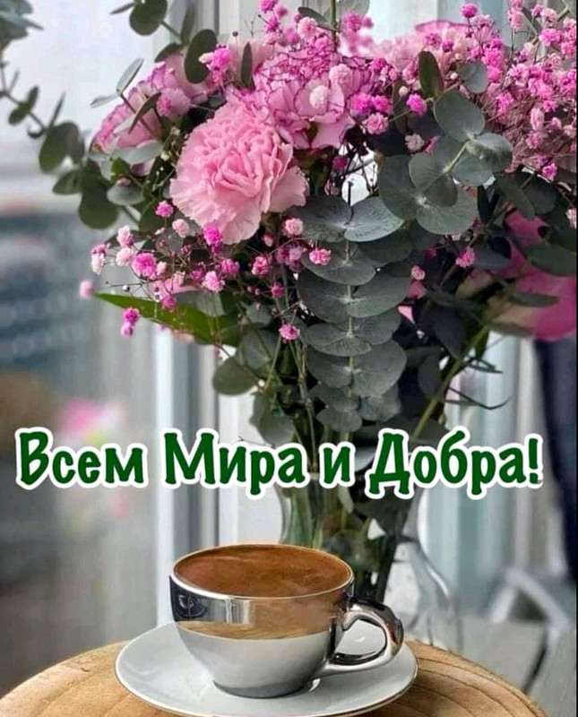 Screenshot-20221228-093843-com-viber-voi