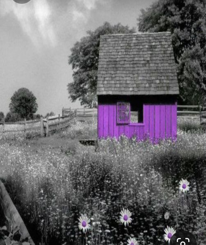 Screenshot_20230409_222620_Pinterest