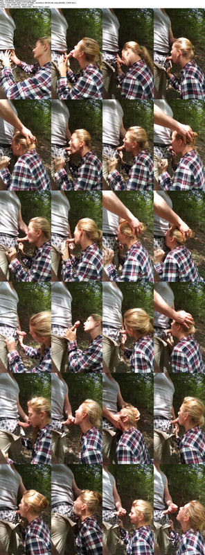 27112024131659screenshot