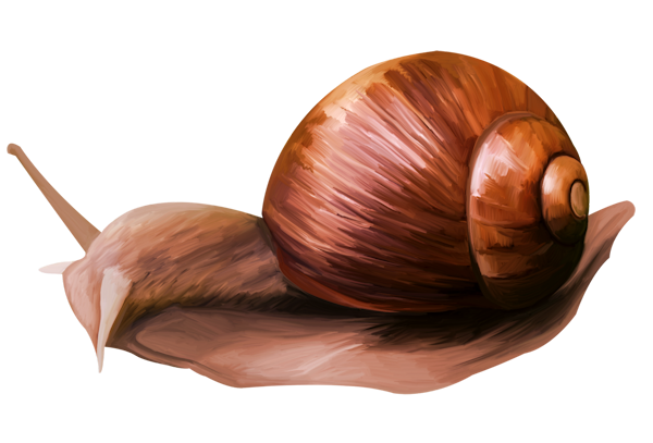 TADD_elements_ShimmerFall (60)