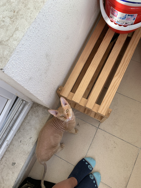 EACD400E-80C8-48DA-9AF8-CF001897884E