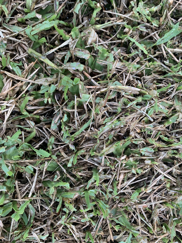 2064F610-F612-4DF4-BA2E-A19B26F24E38