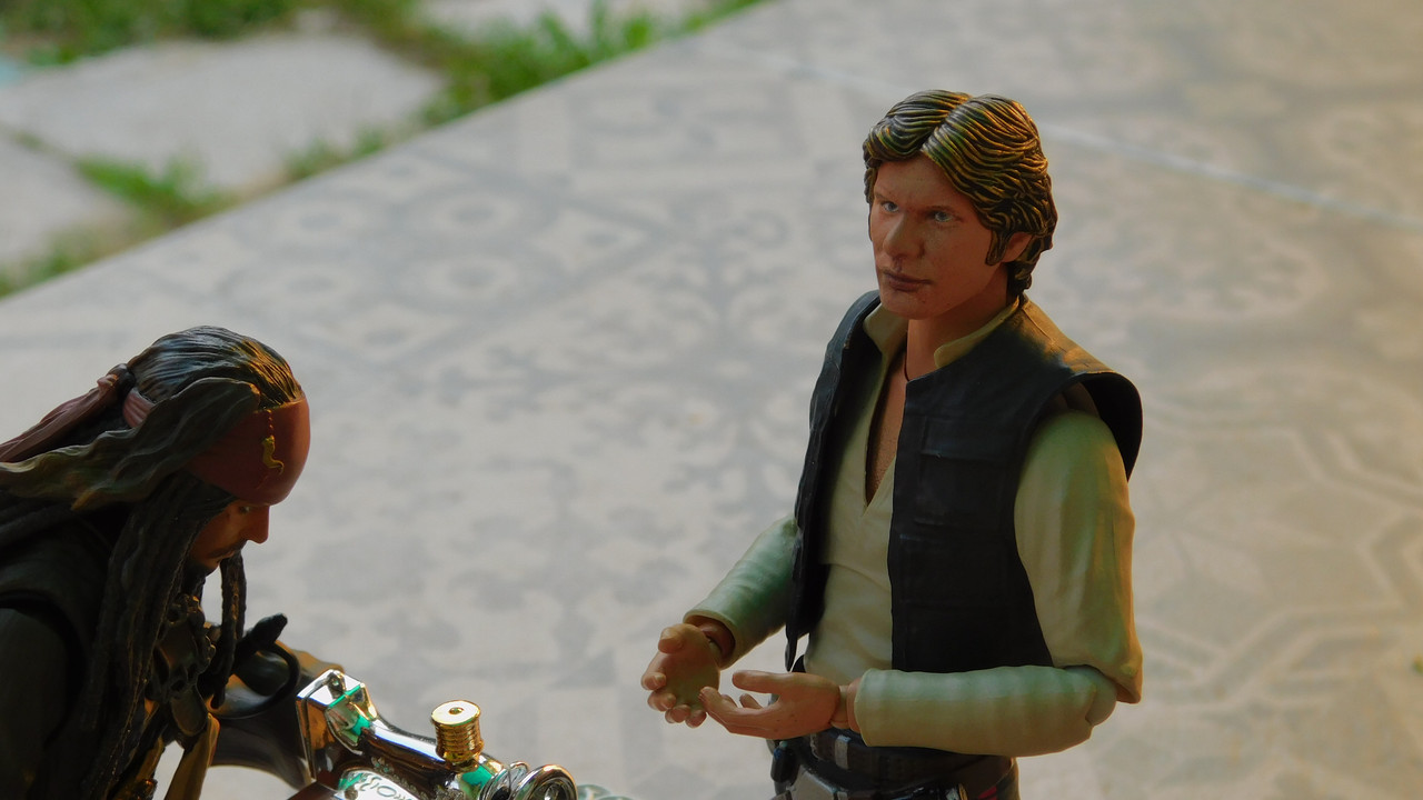 Дачно-Харлинский июнь-июль 2024 118