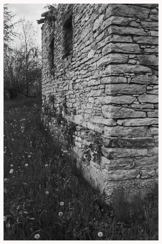 Rollei 35 T_23 apr 2022_18bordo (855x1280)