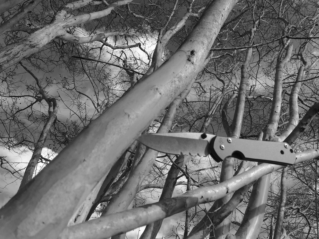 C6D1989B-CD0D-4B89-A2FF-1B21E6F9B15D