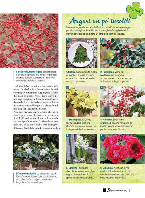 Pol Ver Dic 2024-Gen 2025 (2)