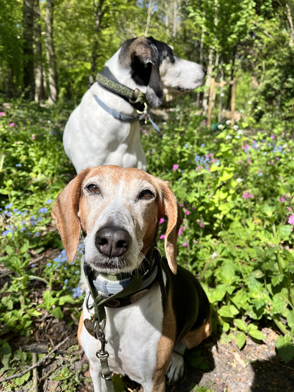 EFC0786F-A7B8-4B02-91AA-339B1CBB5BF5