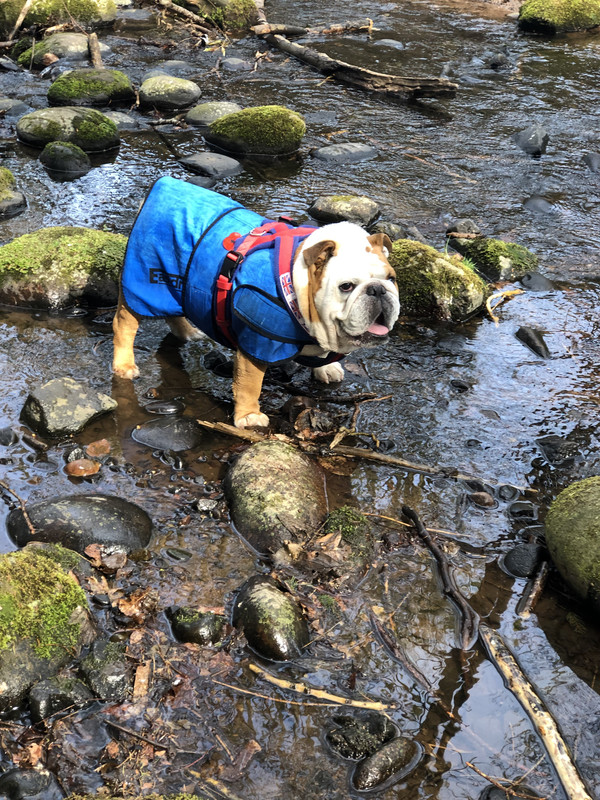 629BF008-1927-40F9-93D0-503F18431D87