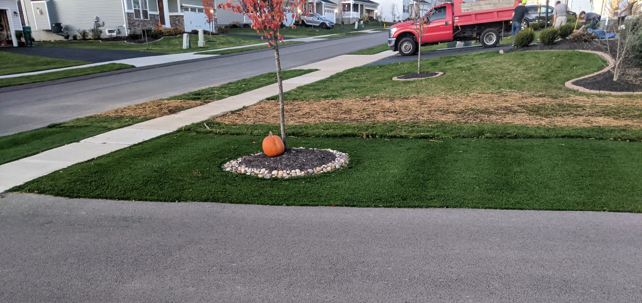 IMG_20201110_172411~2