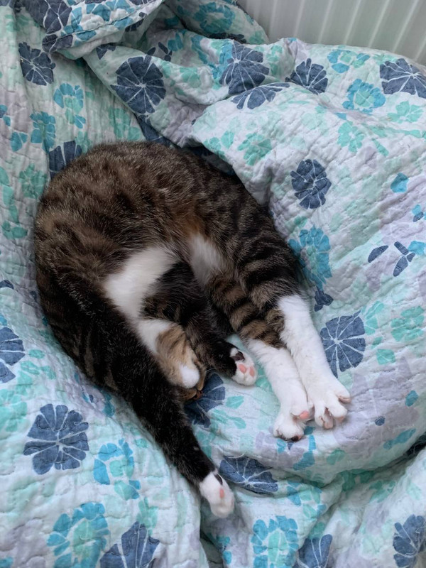 61F9A920-53DA-42EC-8D12-C1AEB80A32B4