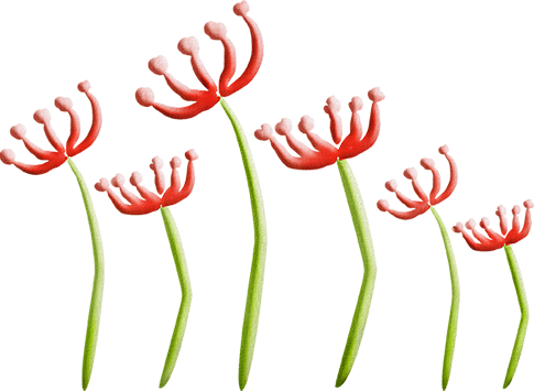 KBK_PrettyRabbit (35)