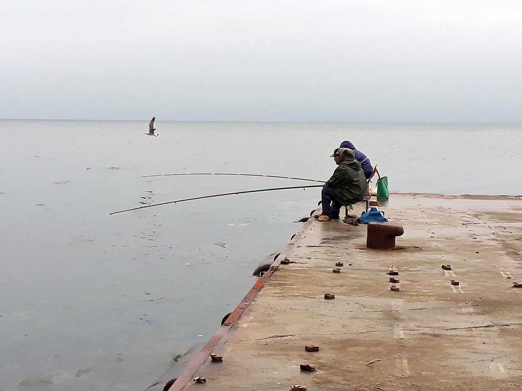 29. Рыбаки и чайка