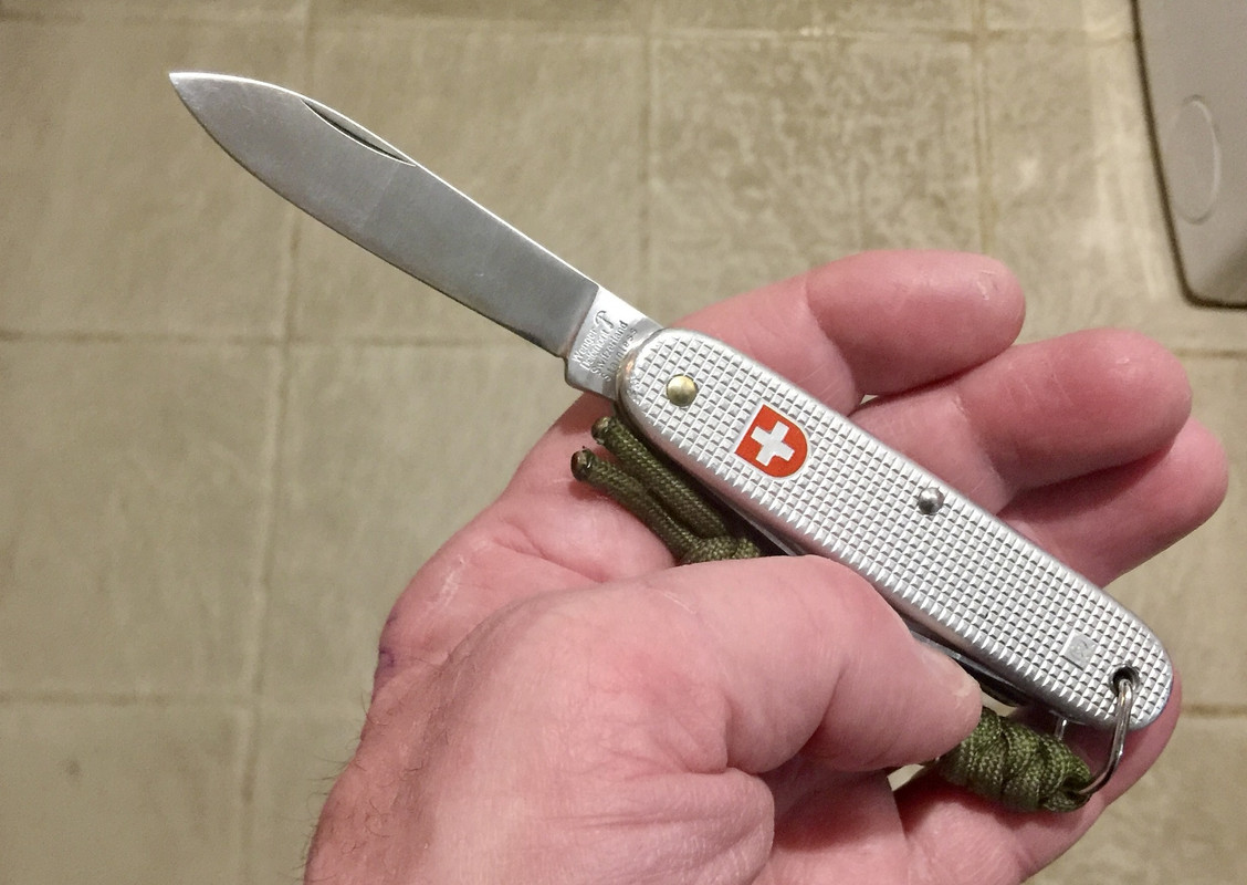 335292231_217899904090221_2965684176176899492_n (1)