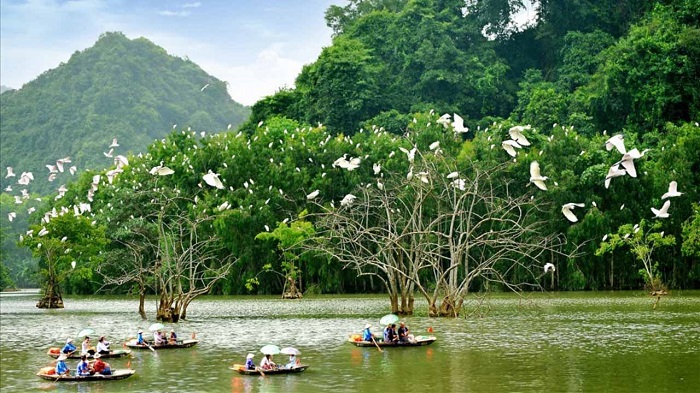 attractions Ninh Binh, Vietnam, Halong Bay on land, Bai Dinh, Van Long, Tam Coc, Bich Dong, Thung Nham