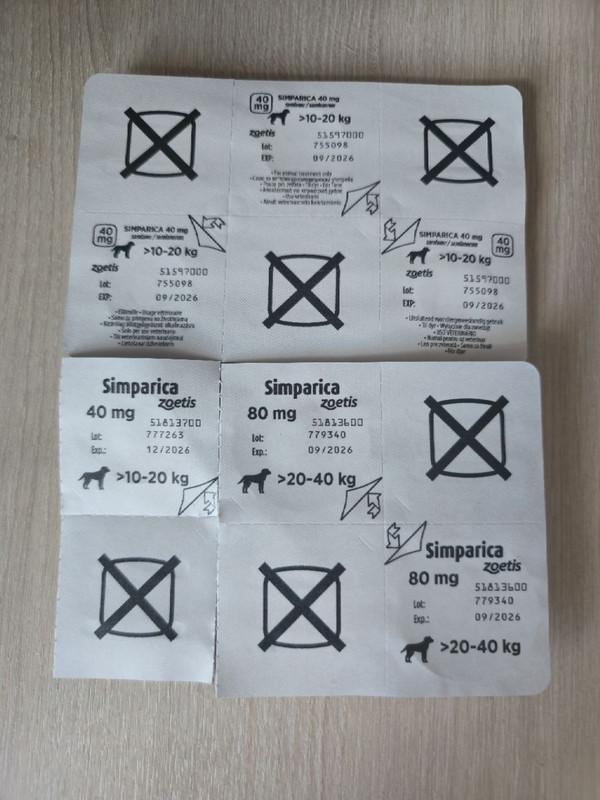 photo_2025-07-12_16-35-09 (2)