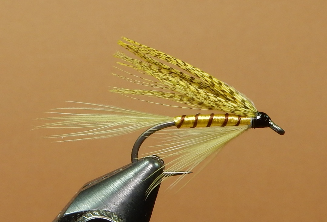 Green-Drake-1080.jpg