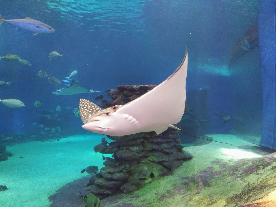 D9D7BDD6-0176-402E-B7EA-3EF5FDF0ECCE