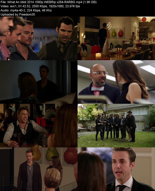 What-An-Idiot-2014-1080p-WEBRip-x264-RAR