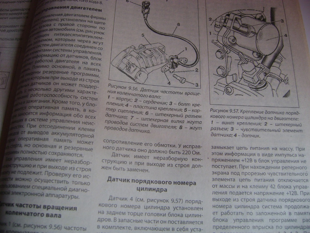 Безымянныйвыпиа