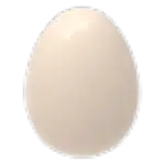 Pet Egg
