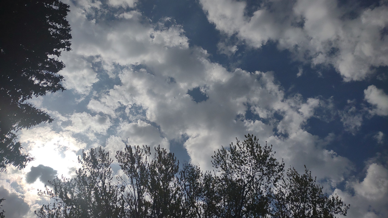 IMG_20250510_101130611