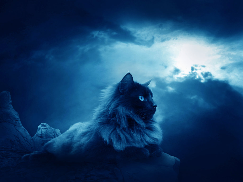 Little-Mountain-II-by-moroka323