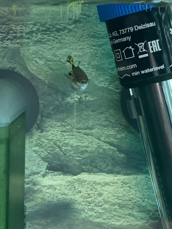 9E2708B0-C113-4729-8CB7-A9515271F071