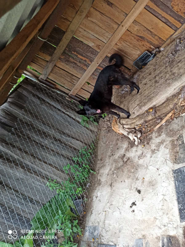 3D8D55F0-781E-4614-82D0-4CC3EBC1FA16