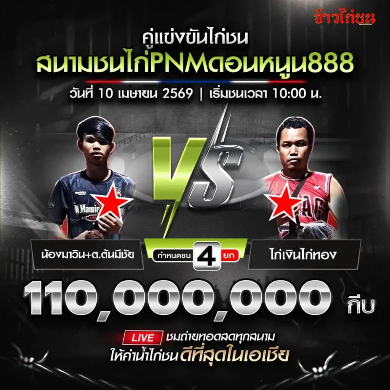 ไก่เงินไก่ทอง พบ ขุนพลมังกรแดนเหนือ สนามชนไก่ PNM ดอนหนูน888