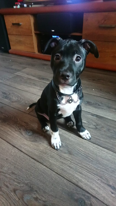 A989355C-4277-4FC4-99DB-E496C617A806