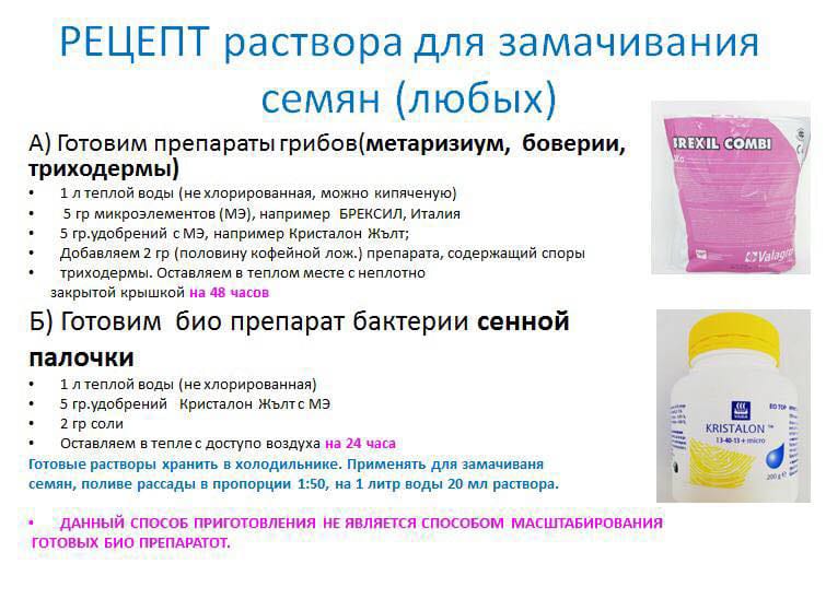 ea251839-c5a9-4ecd-b87d-ea2eafa2a7b7