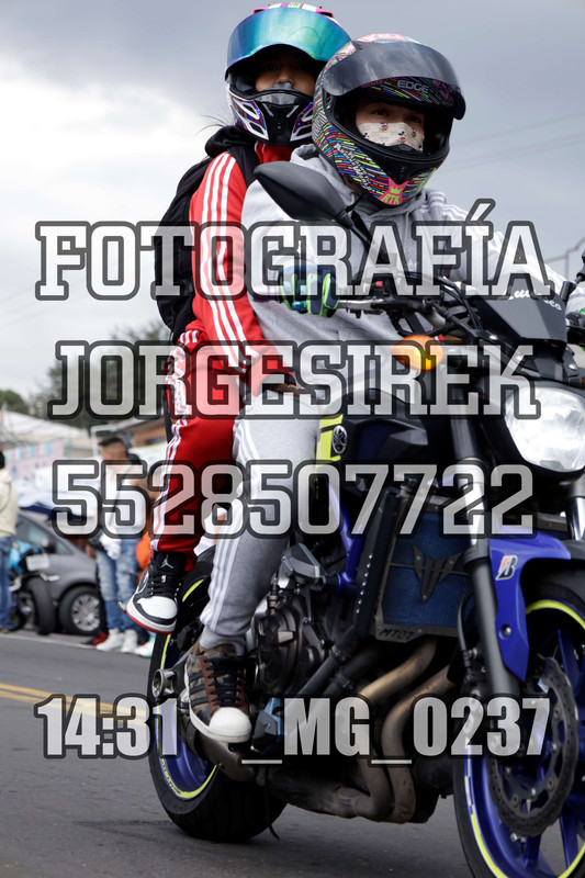 MG 0237 — Postimages