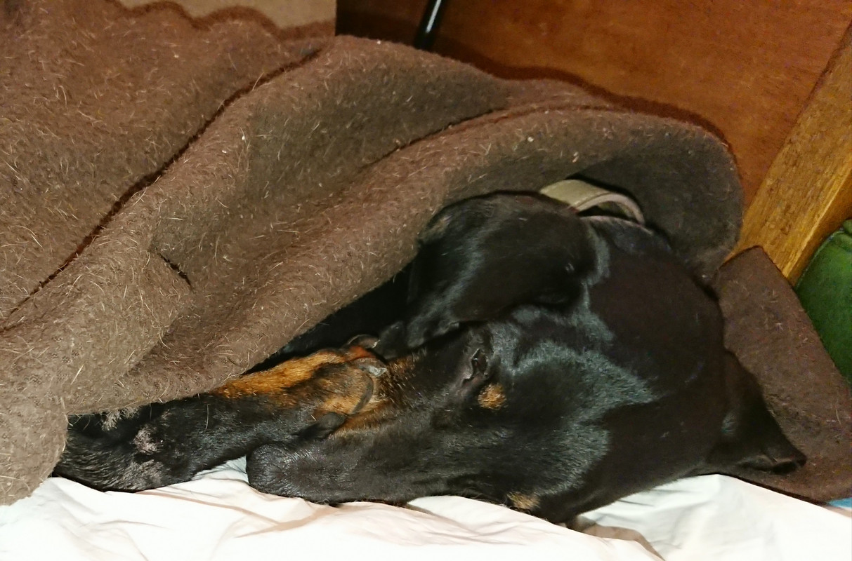 [Image: 20220413-202153.jpg]