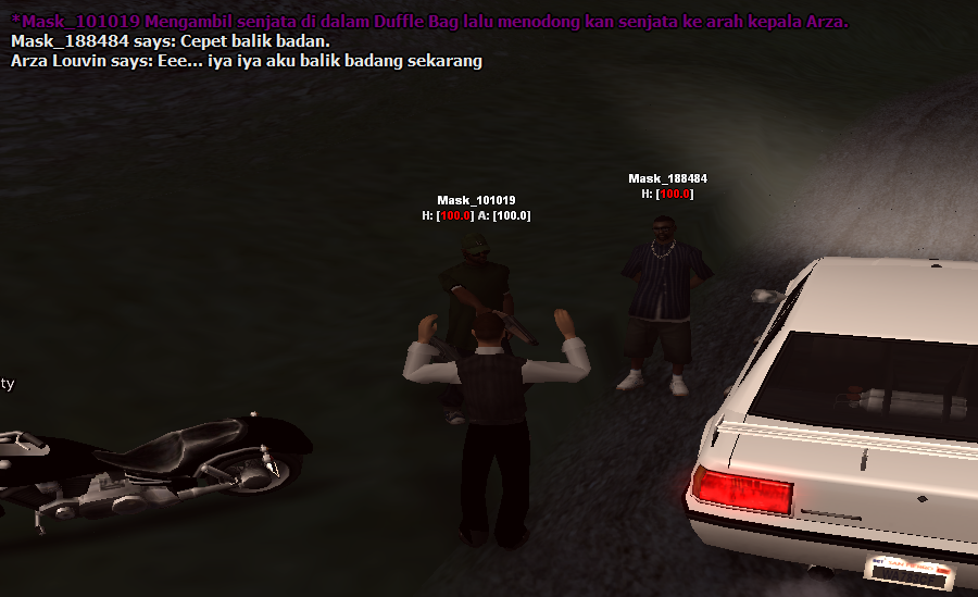 ss11.png