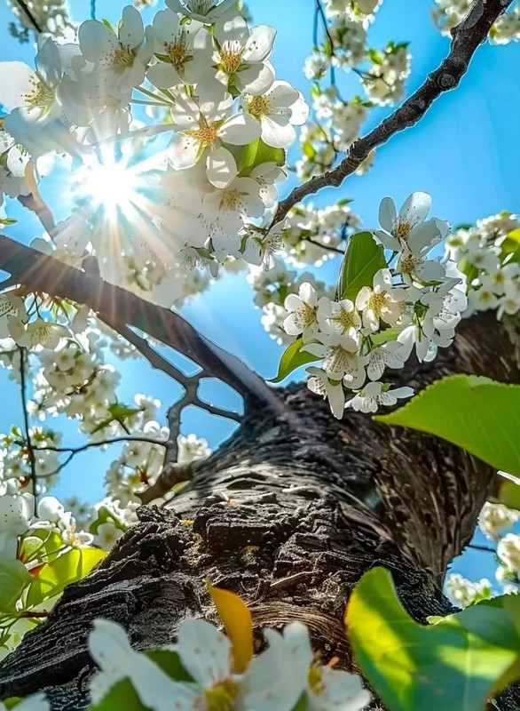 Screenshot_20240425_210303_Threads